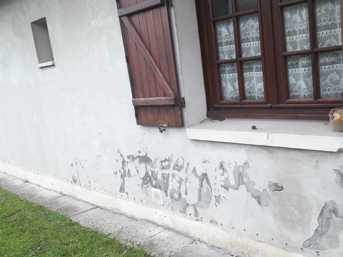 Base de mur humide avec efflorescences blanches avant traitement