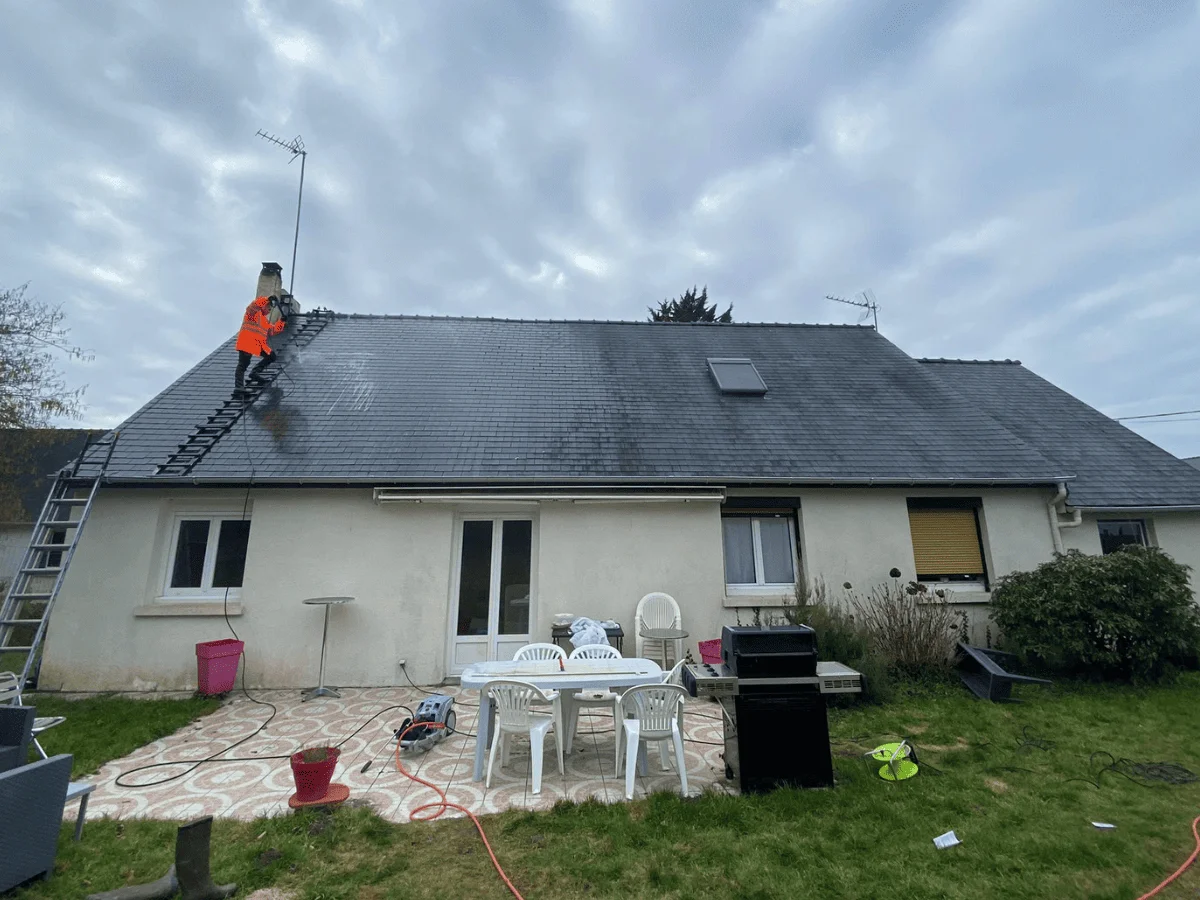 Toiture en ardoises envahie par les lichens avant traitement
