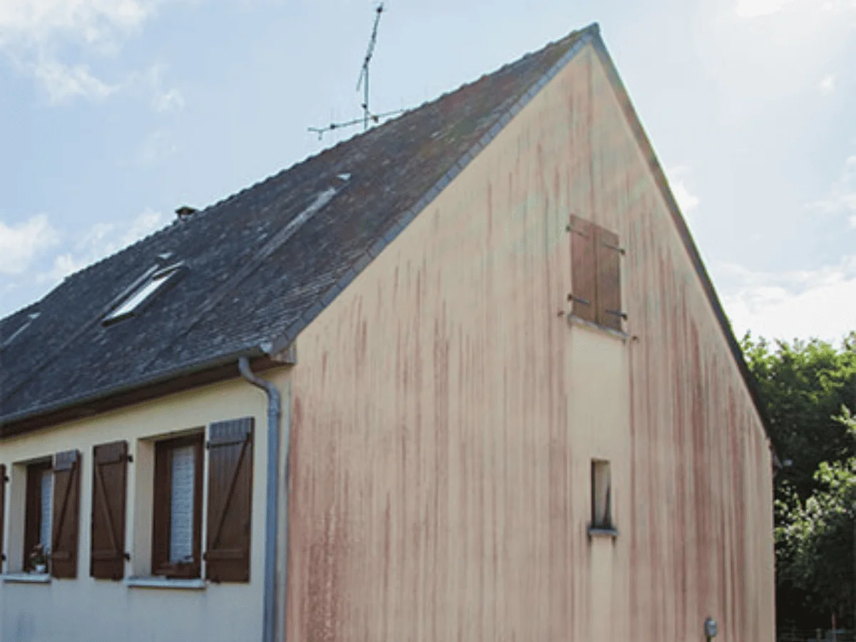 Façade noircie par les algues et mousses avant nettoyage