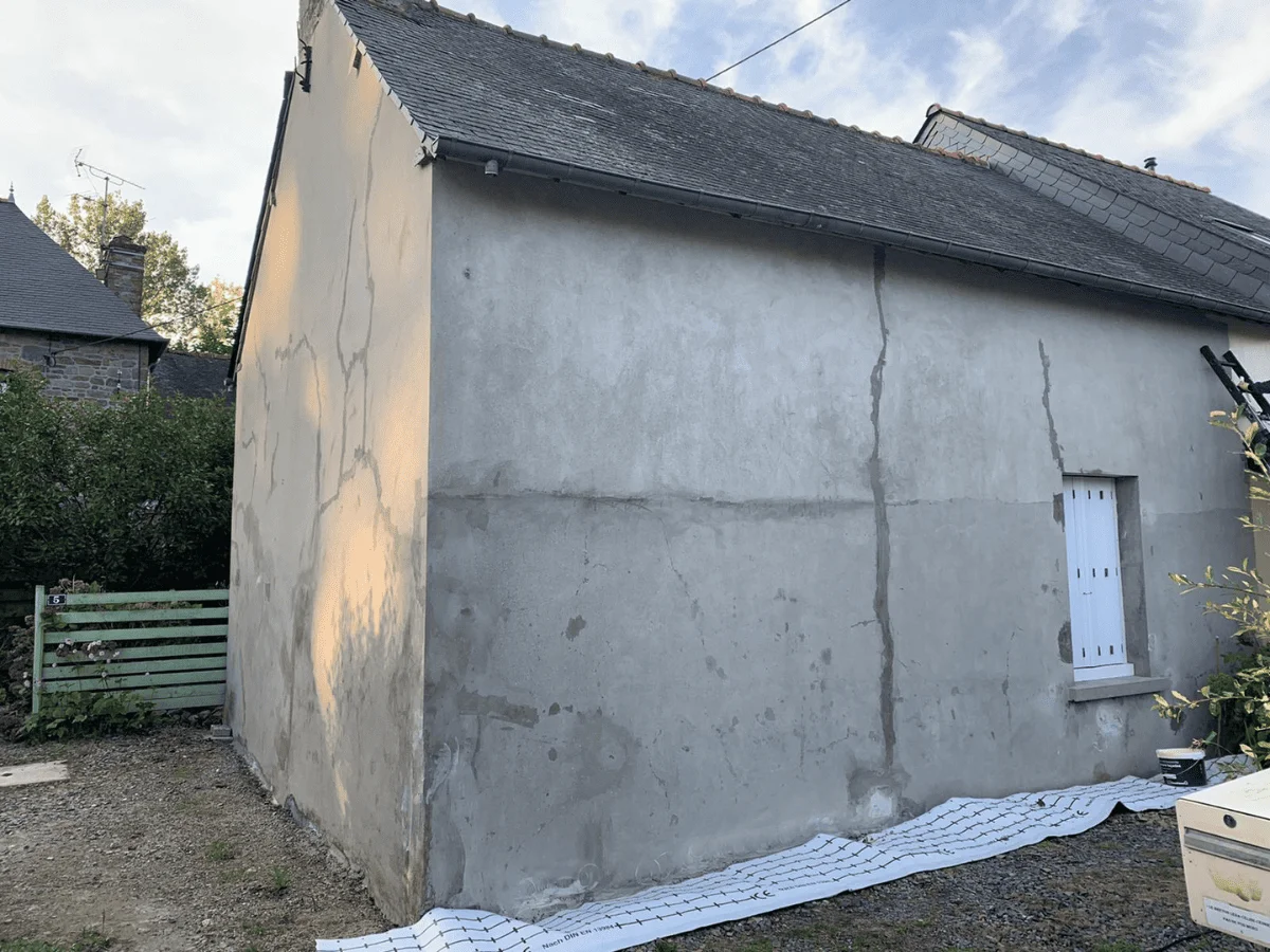 Mur extérieur couvert de mousse verte avant traitement